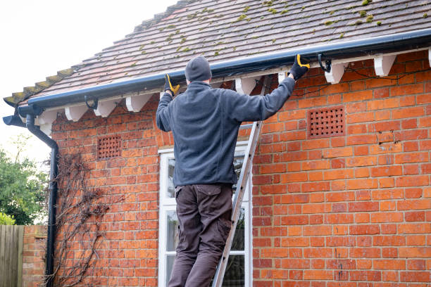 Gutters Cleaning & Restoration